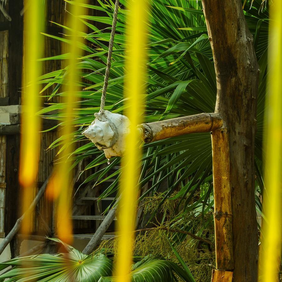 Cabanas Perla Escondida Hotel Dzilam de Bravo Luaran gambar